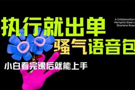 爆火全网的开车导航骚气语音包,只要执行就出单，小白看完课程就能实操