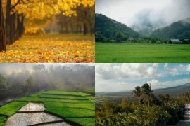 自然风景空境素材包：电影级纯净片段集合