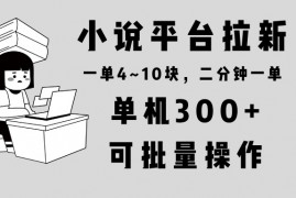小说平台拉新，两分钟一单4~10块，单机300+，简单可批量操作